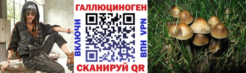 darknet телеграм  Ахтырский  Галлюциногенные грибы Psilocybe 
